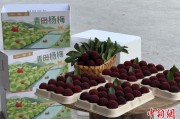 日历正版高速赋能产业升级：一条“杨梅路”的致富密码